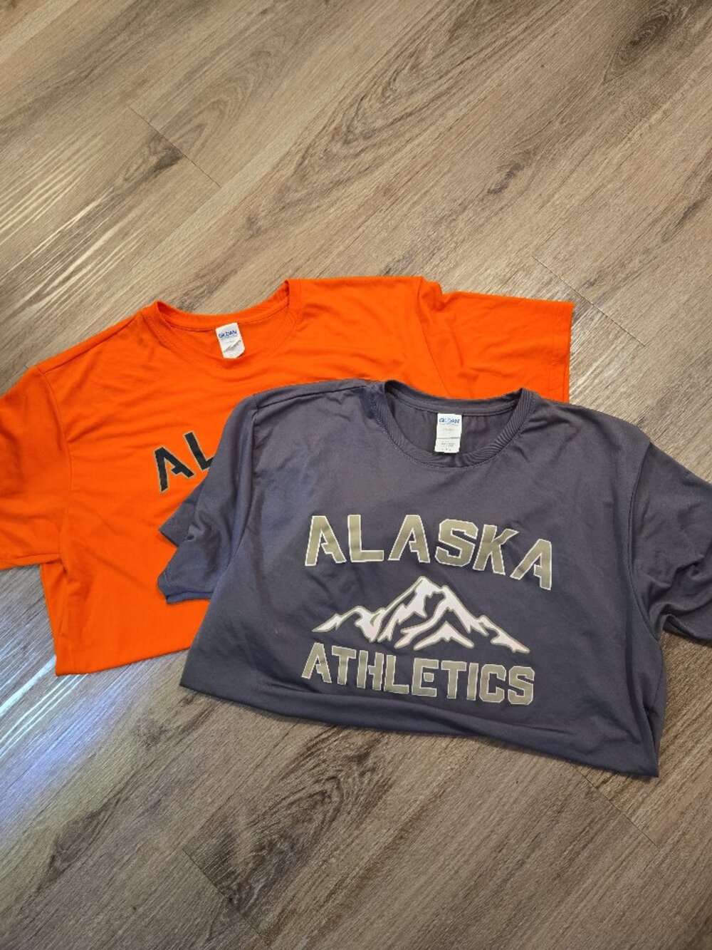 Gildan Performance Alaska Athletics Bundle (2 Shirts)